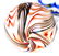 CHARLES & DANIEL LOTTON Ornaments (4) - 4