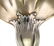 TIFFANY Sterling Silver Strawberry Berry Spoon - 6