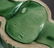 ROYAL HICKMAN #613 Art Pottery Flower Vase - 5