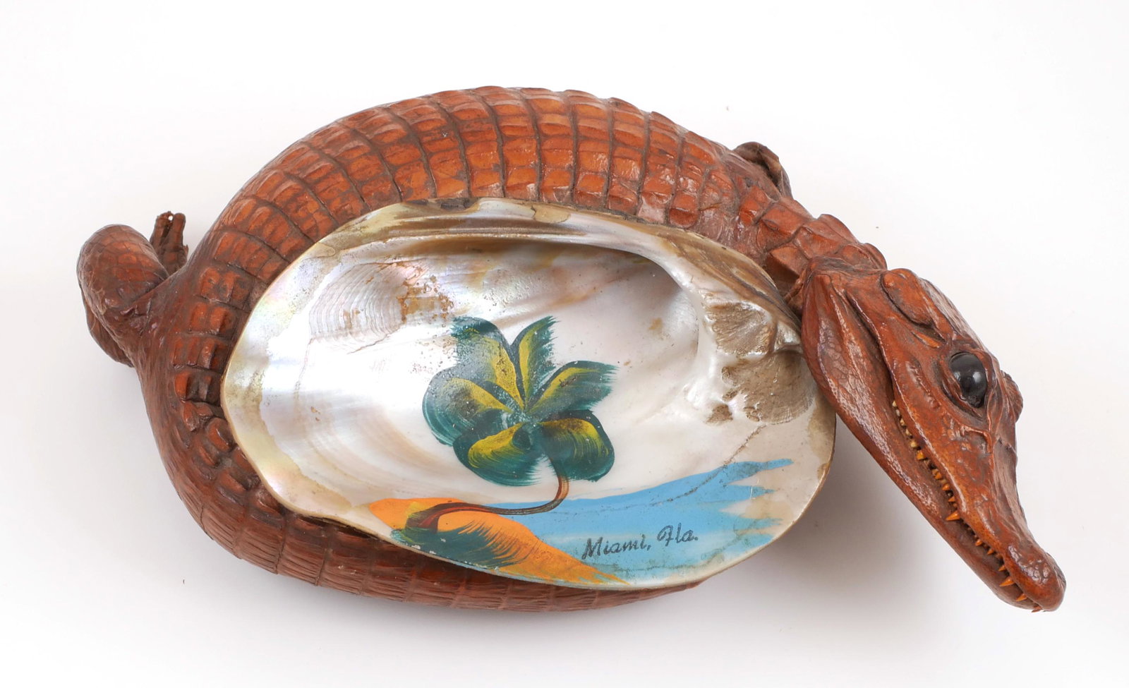 Vintage Florida Souvenir, Caiman Tray: A cool Florida souvenir consisting of a stuffed (with cotton) Caiman, curled around a freshwater clam shell, possibly meant to be an ashtray or dresser jewelry tray. The inside of the shell has a hand