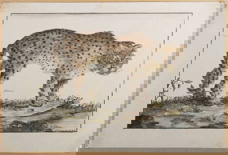 Ship Journal: 18/19C Drawings, Maps & Writing: Important collection of drawings and writing by Charles Randle of the Royal Navy, dated 1776 to 1830. (Follow this link to view a flipbook with photos of almost every page: