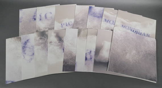 Waltercio CALDAS Suite of Prints: Artist book by Waltercio Caldas, created in collaboration with USF Graphic Studio and Clearwater based press Thunderbird Editions, the pieces is titled "A Suite" and is comprised of 16 pages, iris