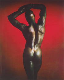 MAPPLETHORPE Photogravure Male Nude