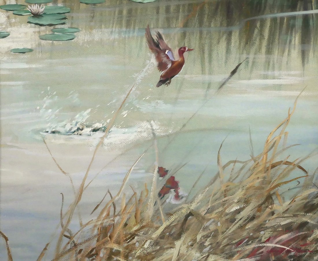 HARRY ANDERSON Duck Painting: Gouache painting of a duck in flight above the water with grass in the foreground and lilies in the background, signed Harry Anderson in red lower right corner. Image measures 19" x 23" with frame mea
