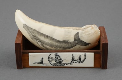 Signed Scrimshaw Tooth and Card Holder