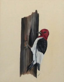 ART LAMAY Woodpecker Gouache