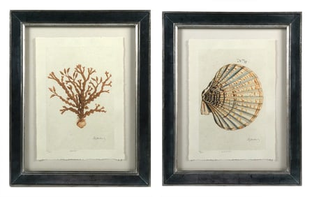 (2) Trowbridge Albertus Seba's Coral Litho
