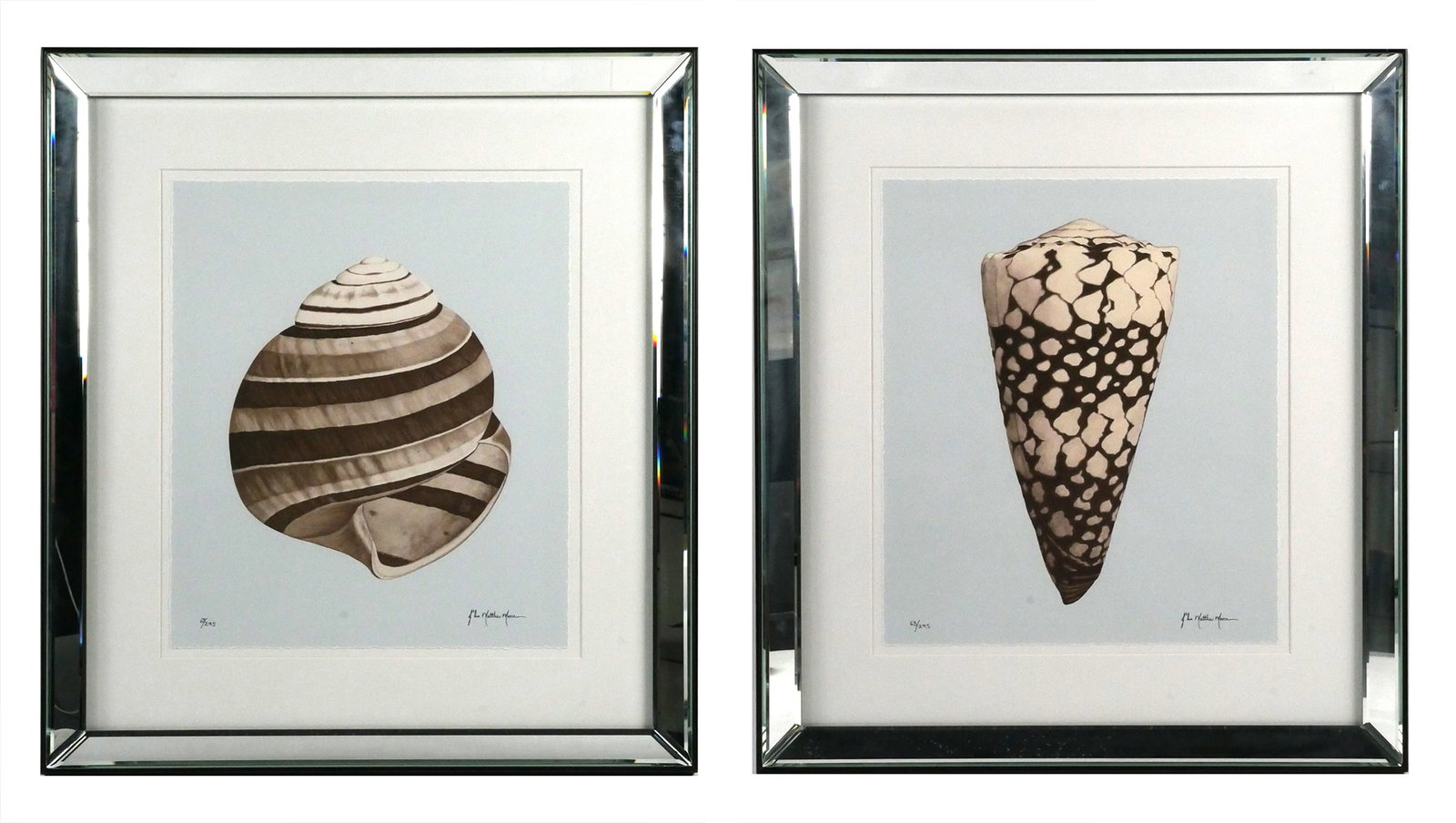 (2) Trowbridge JOHN MATTHEW MOORE Shell Giclees: Set of two giclee prints by John Matthew Moore, signed lower right in print and numbered lower left 63/295 (same for both), produced by Trowbridge. Paper measures 18-1/2" x 15-3/4" mirrored frame meas