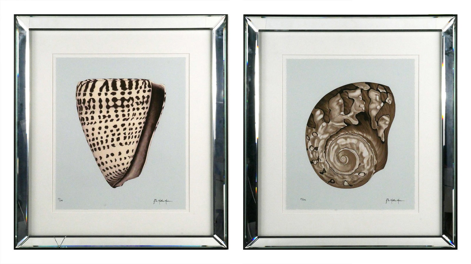 (2) Trowbridge JOHN MATTHEW MOORE Shell Giclees: Set of two giclee prints by John Matthew Moore, signed lower right in print and numbered lower left 63/295 (same for both), produced by Trowbridge. Paper measures 18-1/2" x 15-3/4" mirrored frame meas