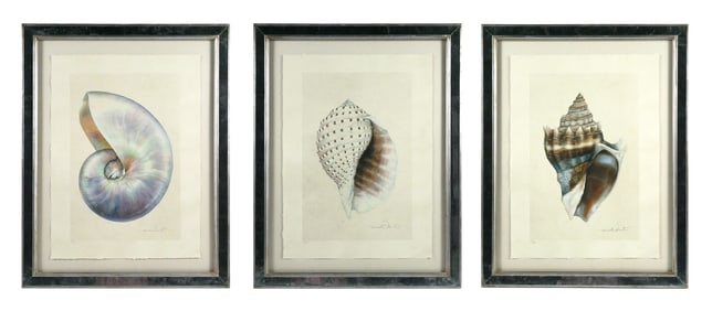(3) Trowbridge MEREDITH MARTENS Shell Giclees