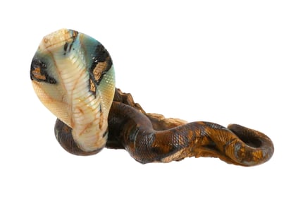Carved Hardstone Cobra Signed