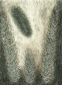 METTE PETRI Wild Things Drypoint