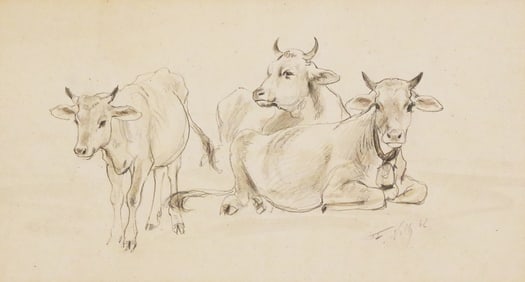 FRIEDRICH VOLTZ Cow Drawing