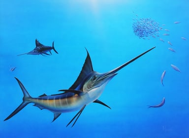 STEPHEN MULDOON, Original Marlin Painting