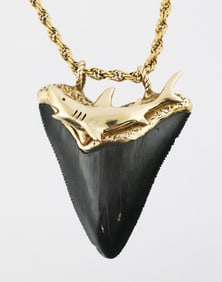 14K Gold Megalodon Pendant & Necklace