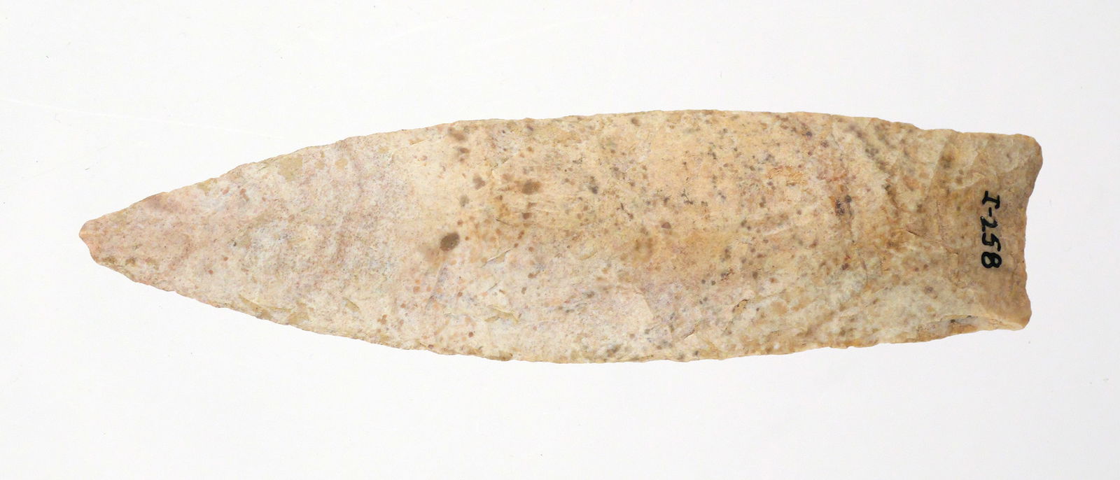 Nebo Hill Archaic Point Blade Missouri Perino COA: From the Pete Gallick collection. An Archaic Period Nebo Hill Point Blade from Missouri. Has a Greg Perino COA. Dated 2000 to 1500 BC. Measures 3-/3/4" x 1" (96mm x 25mm). This item can be shipped in-