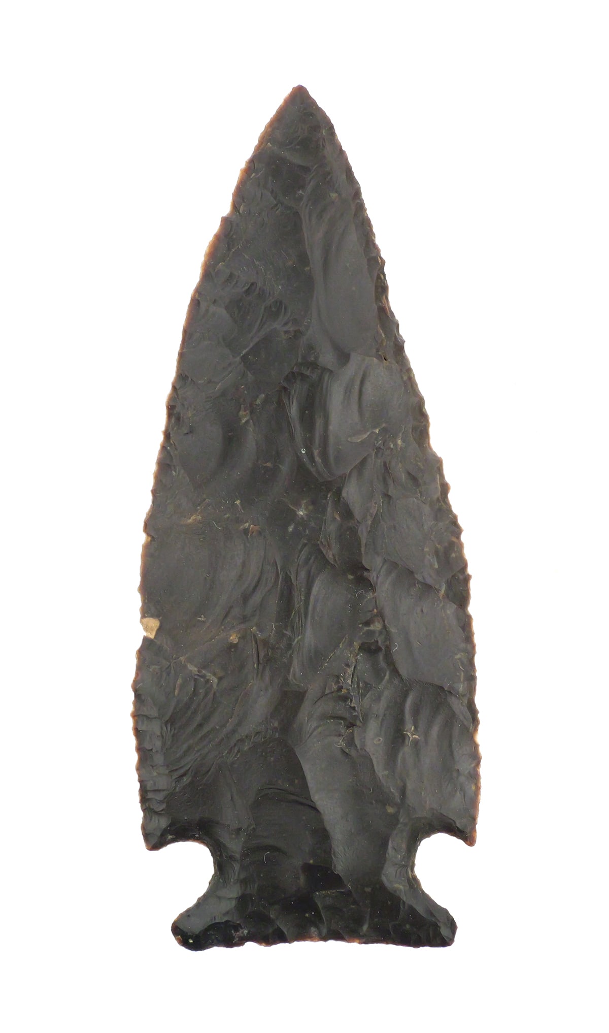 Rootbeer Jacks Reef Point Blade Knife Perino COA (1 of 3)