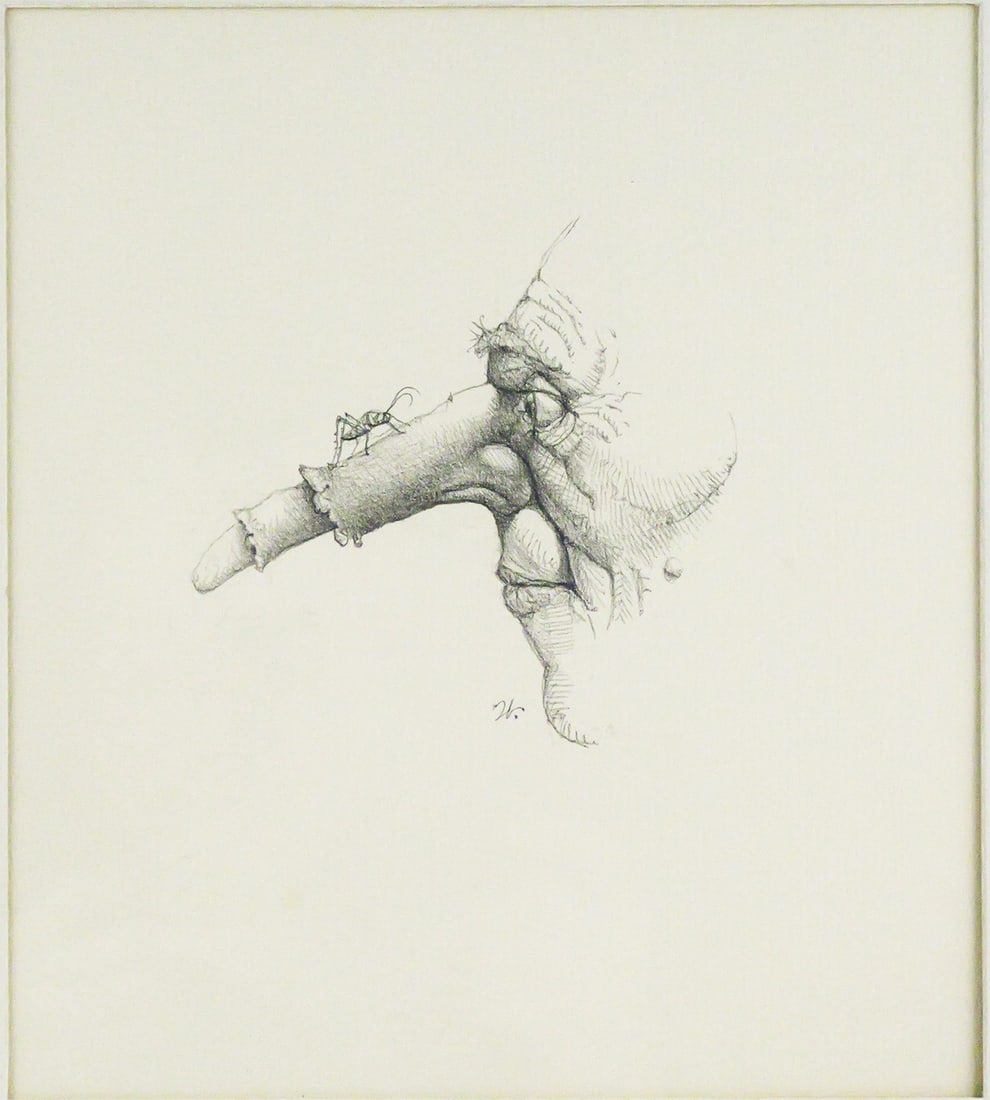 WERNER WILDNER Graphite Drawing: Pencil on paper featuring a mans profile featuring a long nose with an insect perched on top, signed "W" for German-American artist Werner Wildner (1925-2004), sight 9" x 8" frame measures 22-1/2" x 1