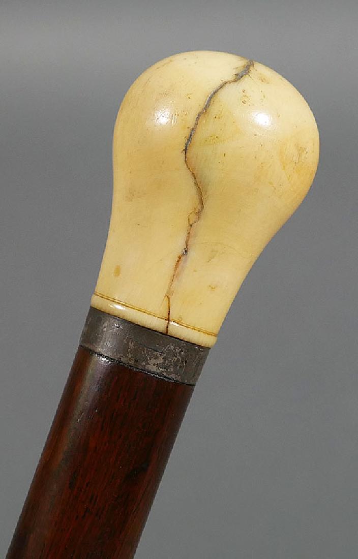 1920s Edwardian Ivory Knob Walking Stick Cane: Gentleman's walking stick with simple and elegant ivory knob. Measures 35-1/4" from grip to ground. Nice age color and lines. One of several fine antique walking sticks in this auction.