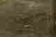 item-116698691=3