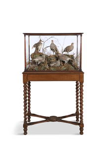 A VICTORIAN OAK CASED TAXIDERMY DISPLAY, depicting grey partridges in rocky scrub setting, contained: A VICTORIAN OAK CASED TAXIDERMY DISPLAY, depicting grey partridges in rocky scrub setting, contained in a fine case on stand, with spiral turned legs and stretcher.