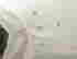 item-137227242=2