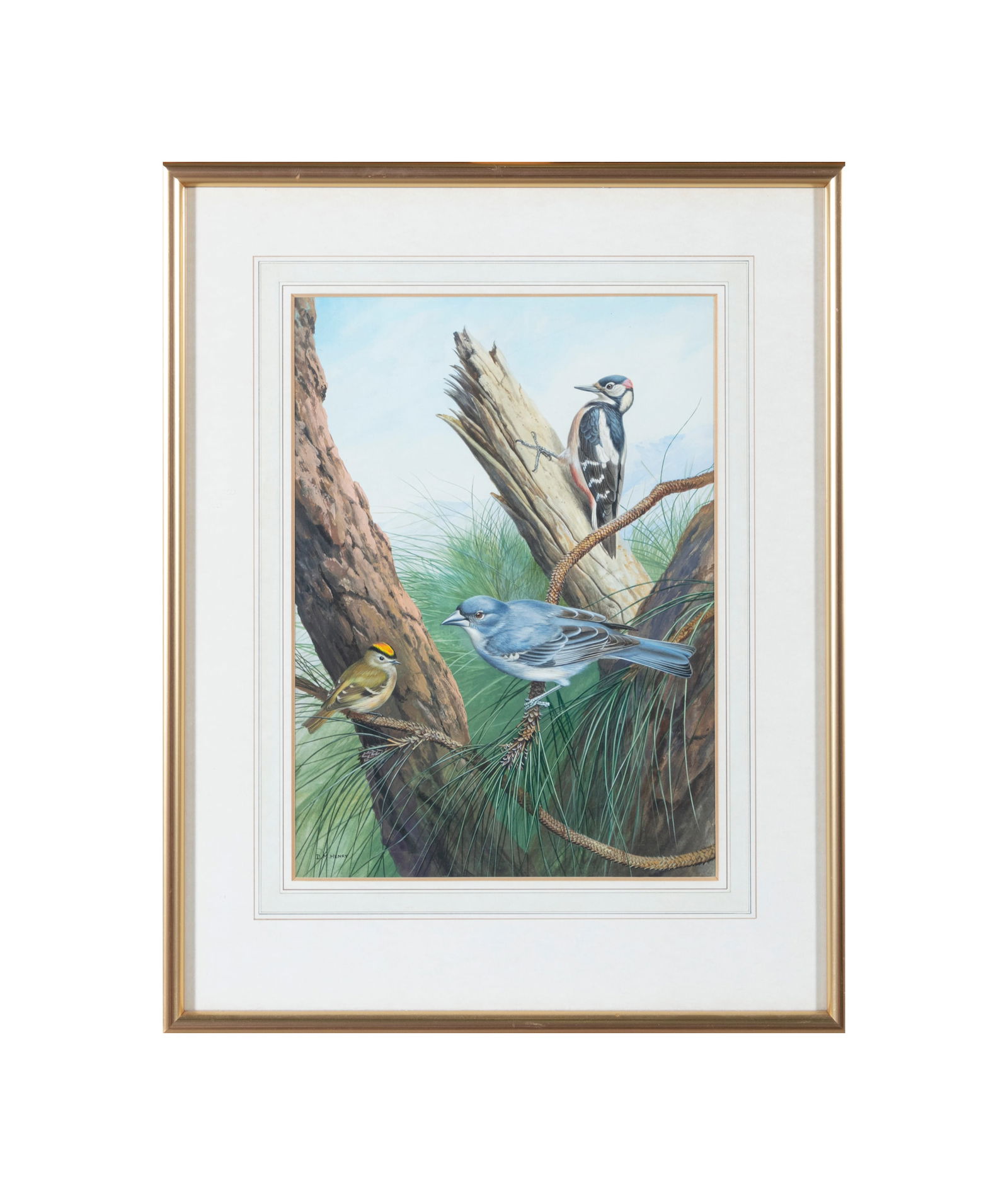 DAVID MORRISON REID HENRY (1919 - 1977) Canarian Woodpecker, Blue Chaffinch and Canarian Goldcrest: DAVID MORRISON REID HENRY (1919 - 1977) Canarian Woodpecker, Blue Chaffinch and Canarian Goldcrest Watercolour, 36 x 26cm Signed