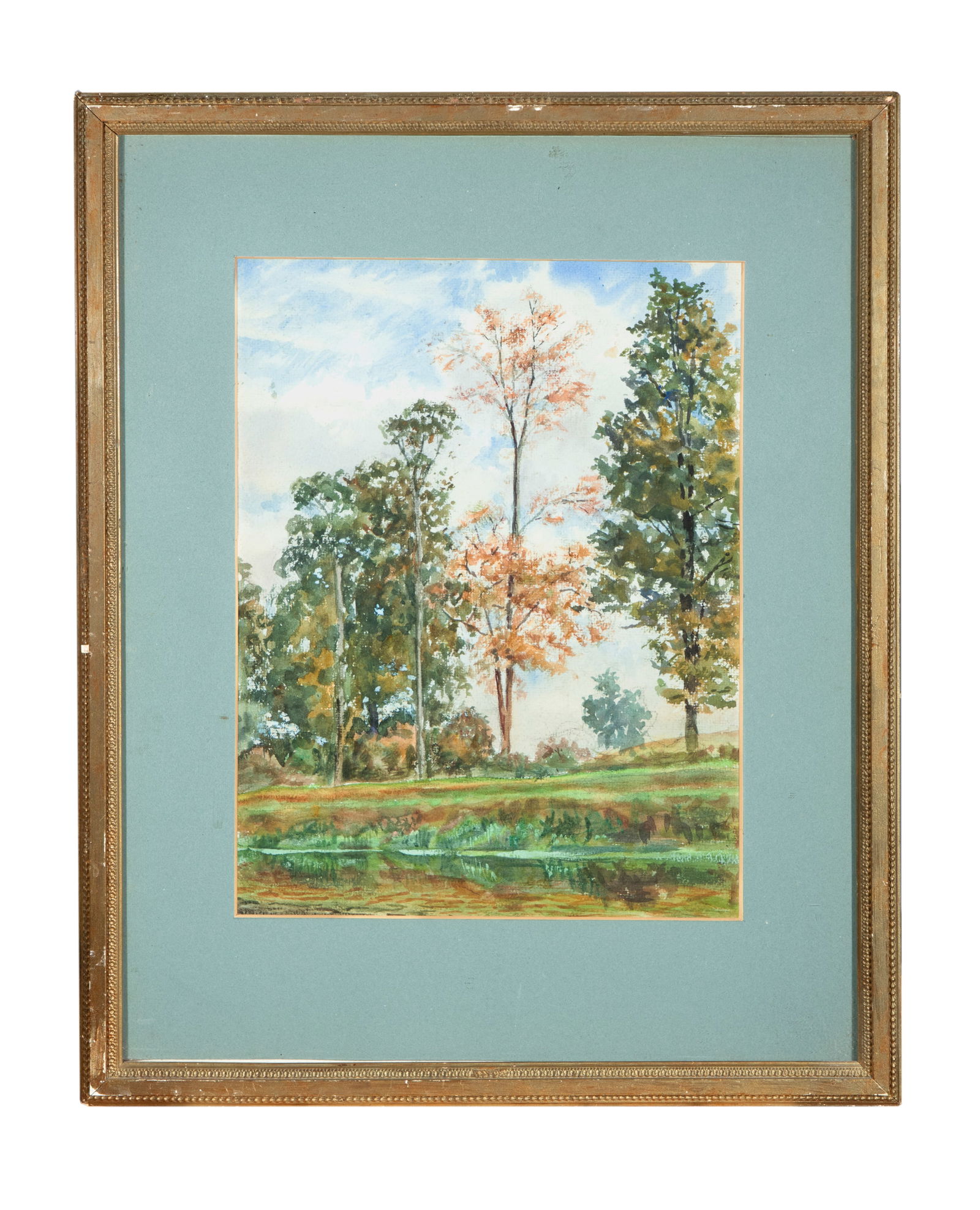 IRISH SCHOOL 20TH CENTURY Tree Study  Watercolour, 32 x 24cm (1 of 2)