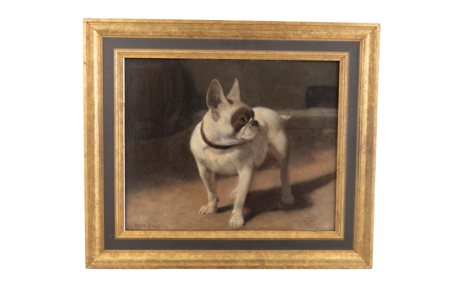 ARTHUR HEYER (GERMAN, 1872-1931)  A White French Bulldog Oil on panel, 38 x 48cm  Signed and dated (1 of 4)