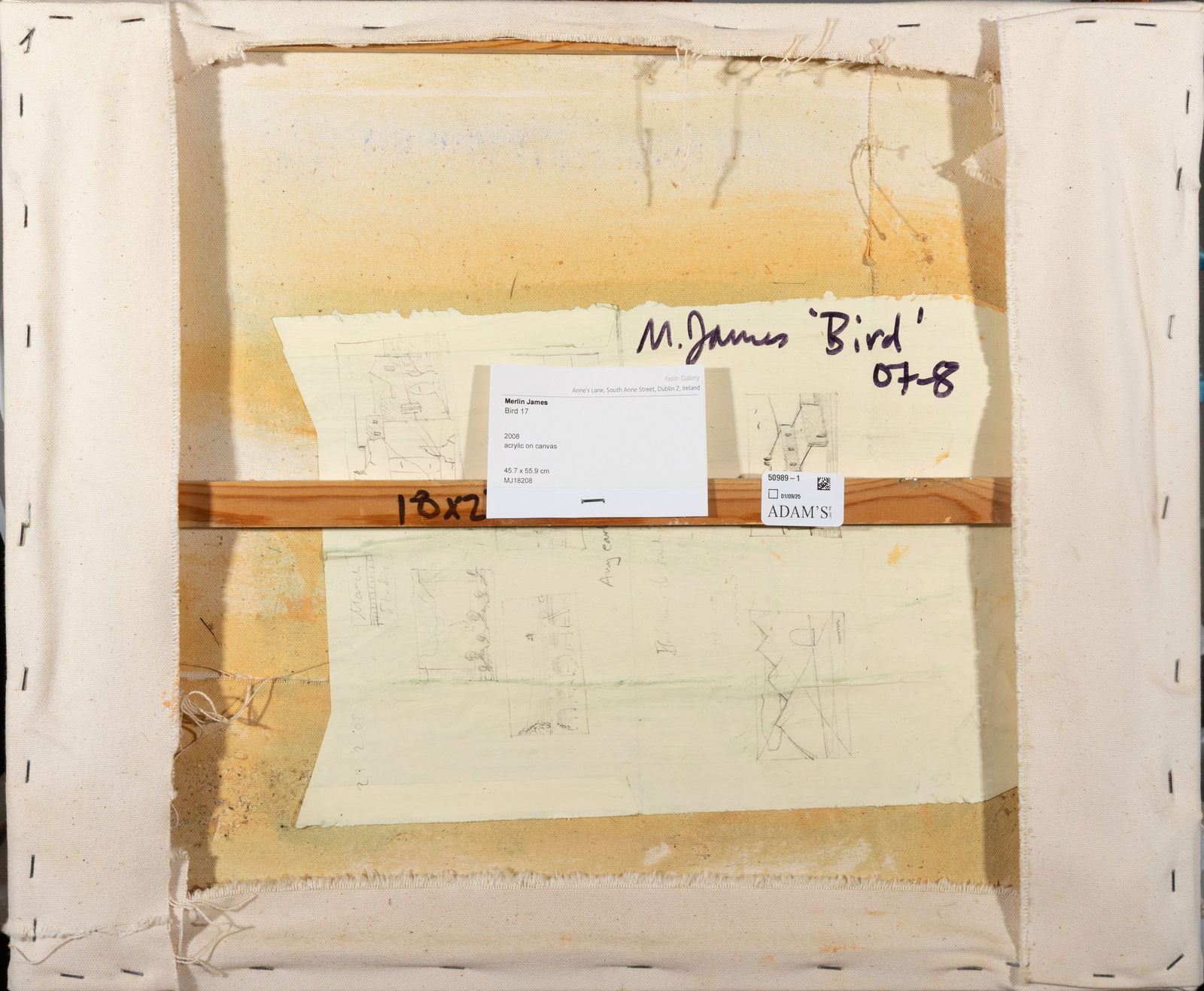 MERLIN JAMES (B.1960) Bird 17 Acrylic on canvas, 45.7 x 55.9cm Signed, inscribed and dated: MERLIN JAMES (B.1960) Bird 17 Acrylic on canvas, 45.7 x 55.9cm Signed, inscribed and dated (20)'07-8 verso Provenance: With Kerlin Gallery, Dublin, label verso