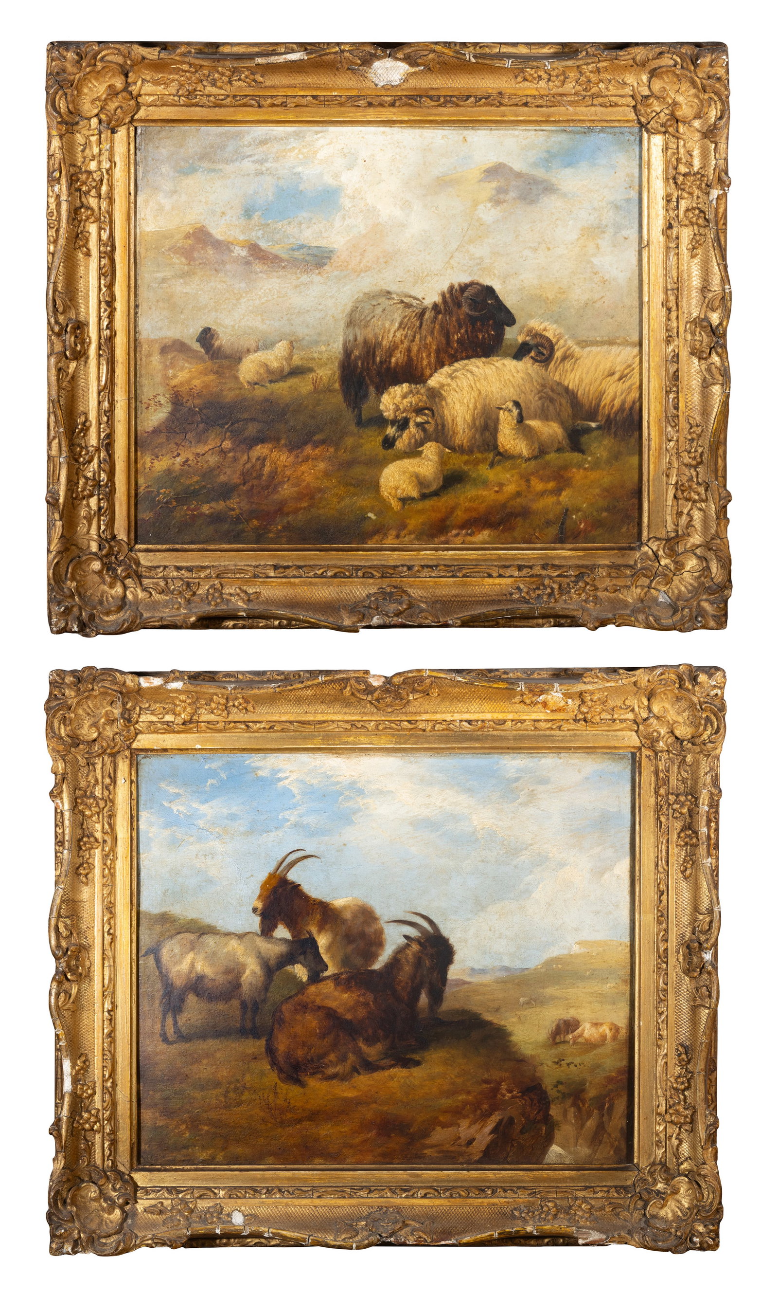 EUROPEAN SCHOOL, 19TH CENTURY, Goat herd (i), and Flock of sheep (ii) A pair, Oils on board, each (1 of 7)