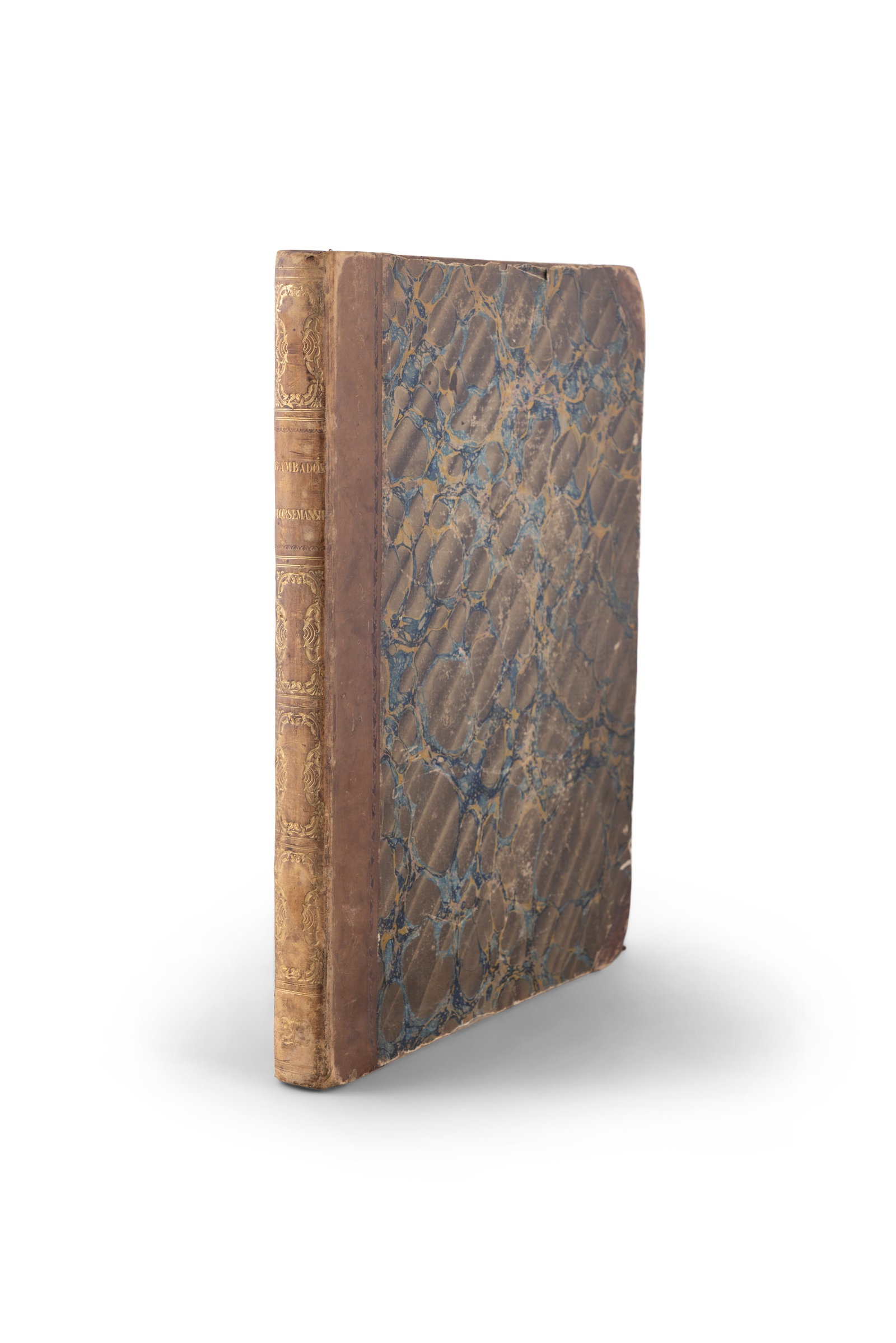 GAMBADO, GEOFFREY An Academy for Grown Horsemen, the 4th ed. Printed for John Stockdale, (1 of 6)