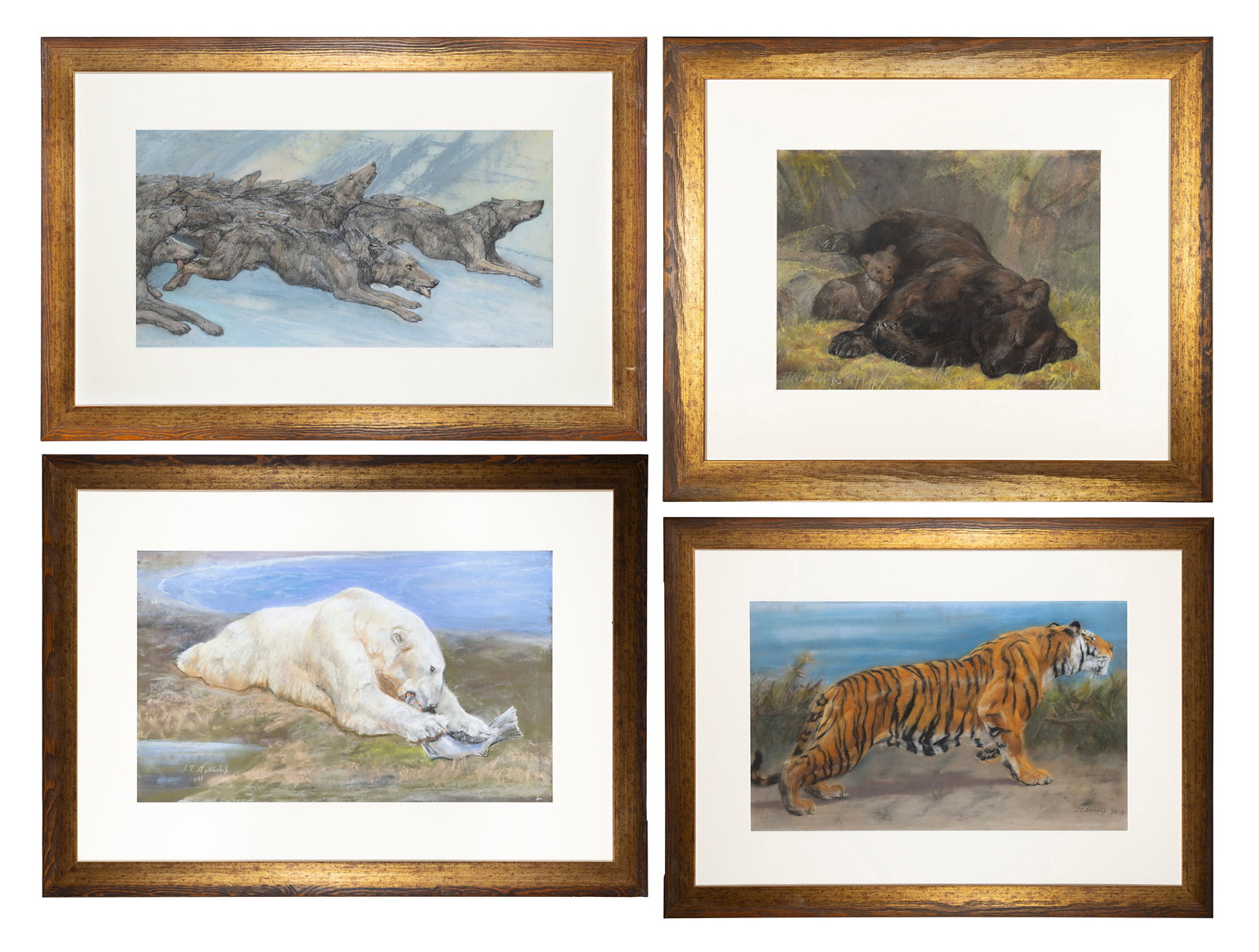 J.T NETTLESHIP (1841 - 1902) A collection of four pastel studies of animals including 'A Tiger in (1 of 17)