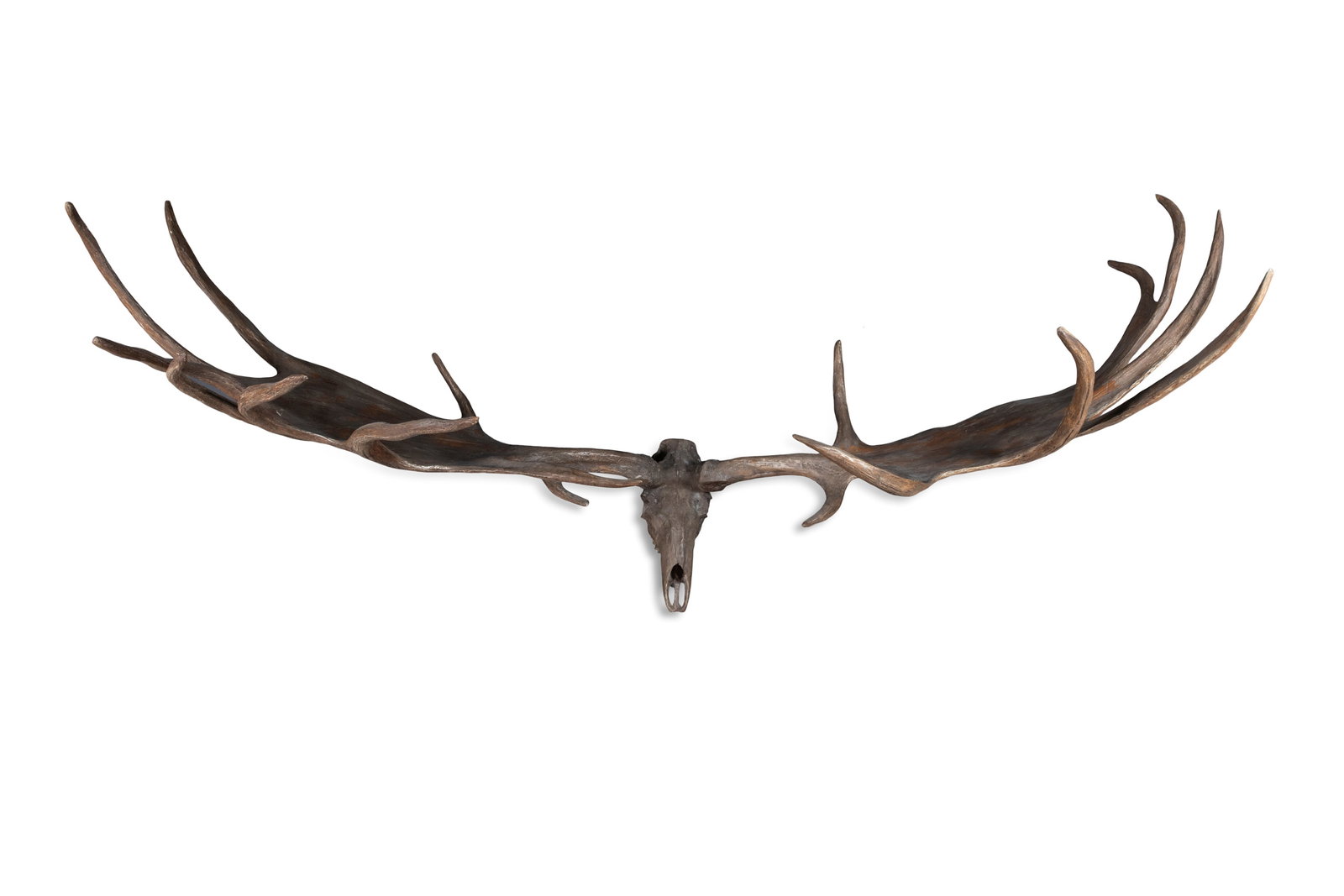 A SET OF COMPOSITE GREAT IRISH DEER ANTLERS, 20th century, with skull. 287cm wide (1 of 5)