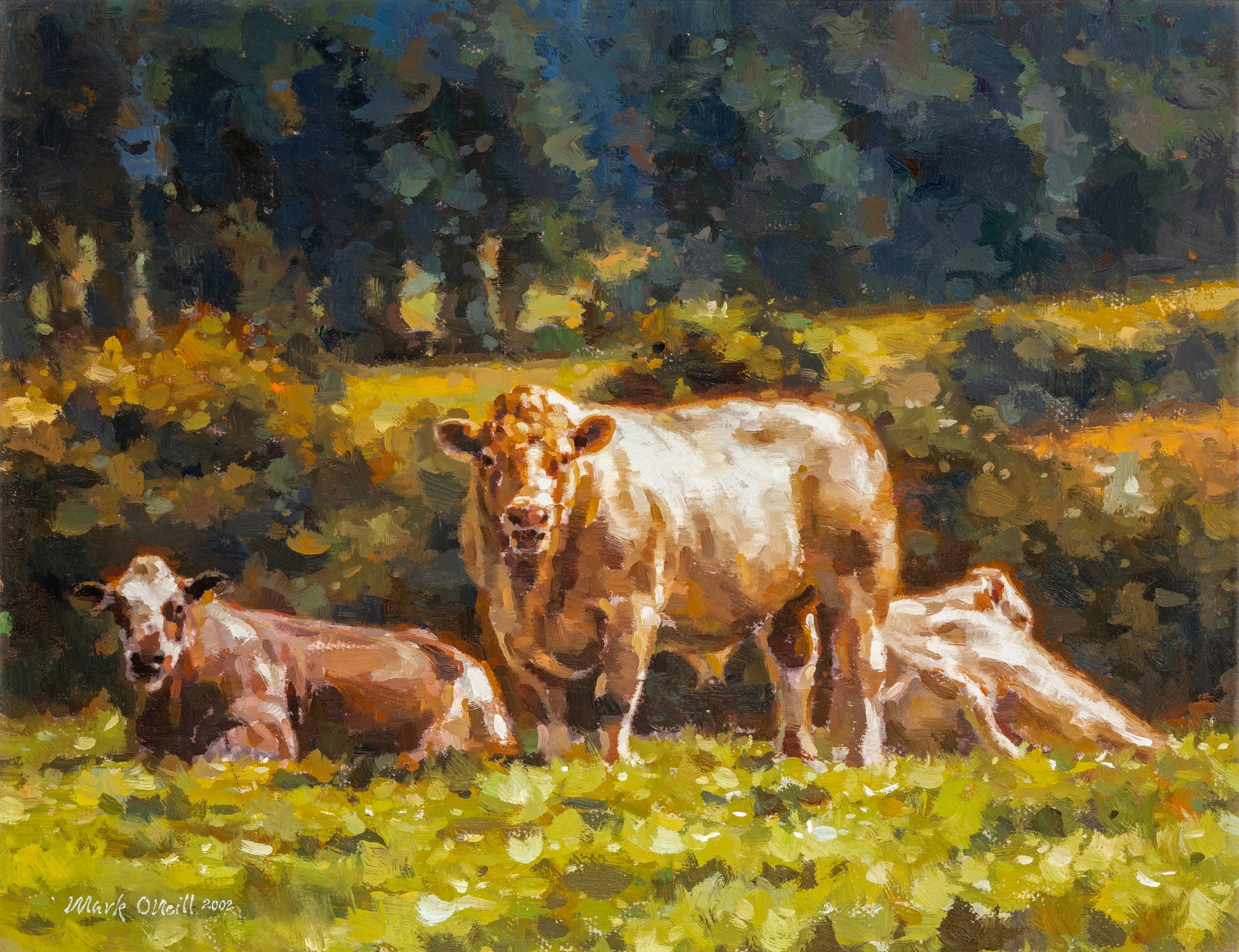 Mark O'Neill (b.1963) Cattle Resting (2002) Oil on canvas, 36 x 46cm (14 x 8'') Signed and dated (1 of 4)