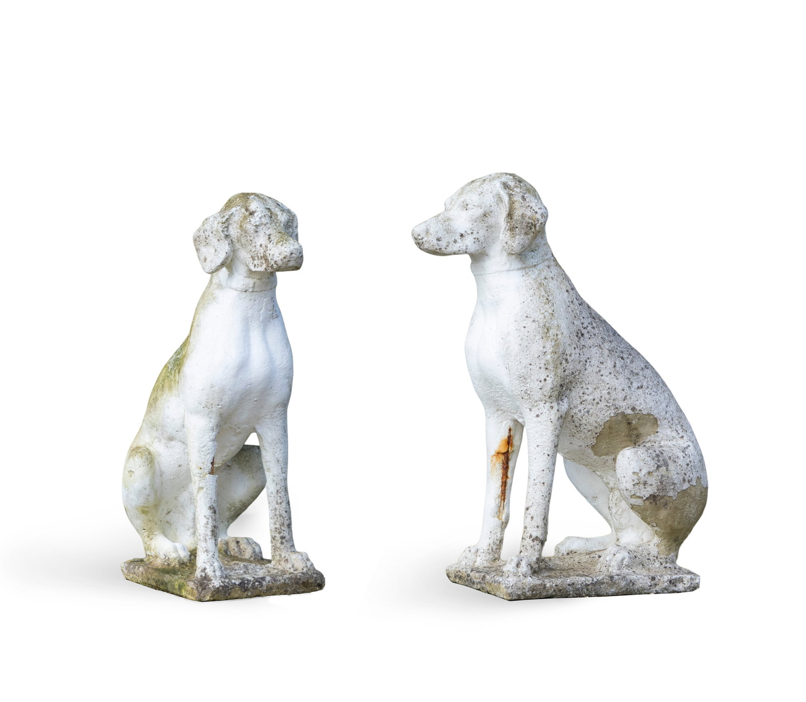 A PAIR OF RECONSTITUTED STONE HOUNDS, 20TH CENTURY, white painted and in seated stance with collar: A PAIR OF RECONSTITUTED STONE HOUNDS, 20TH CENTURY, white painted and in seated stance with collar detail supported by rectangular base, 71cm high