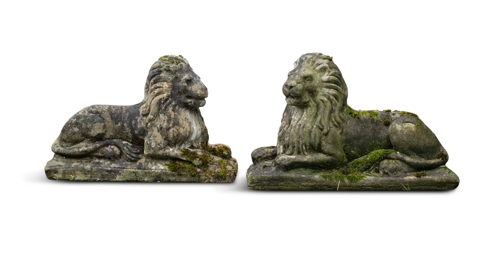 A PAIR OF SMALL STONE 'MEDICI' LIONS, each on moulded plinth bases, 39cm high, 54cm wide, 22cm deep: A PAIR OF SMALL STONE 'MEDICI' LIONS, each on moulded plinth bases, 39cm high, 54cm wide, 22cm deep