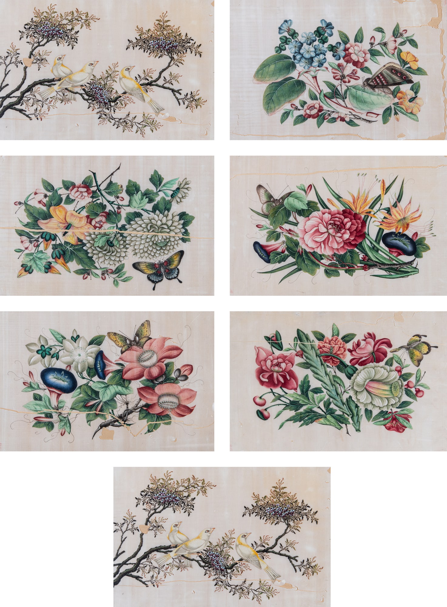A SET OF SEVEN FRAMED RICE PAPER PAINTINGS OF FLOWERS AND BIRDS 19世纪末 广: A SET OF SEVEN FRAMED RICE PAPER PAINTINGS OF FLOWERS AND BIRDS 19世纪末 广作带框通草画花鸟图两件 China,