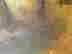item-79369513=3
