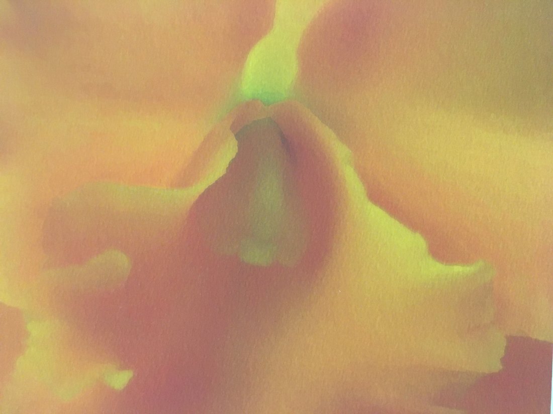 A MARC DUKE photograph Orange Orchid (1 of 3)