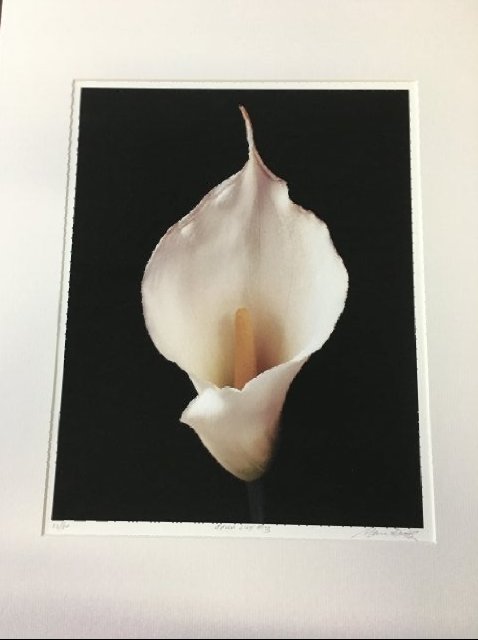 Marc Duke,  Calla Liliy PHOTOGRAPH Print (1 of 7)