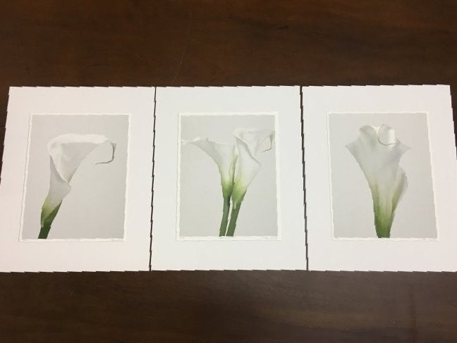Group of three Marc Duke, White Calla Lilies photos (1 of 8)