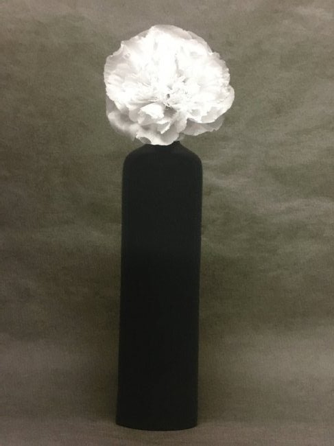 Marc Duke, Peony flower PHOTOGRAPH Print (1 of 7)