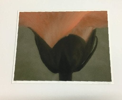 Marc Duke, Hibiscus PHOTOGRAPH (1 of 6)