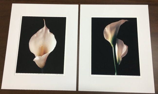 Two Marc Duke, White Calla Lilies PHOTOGRAPHS (1 of 10)