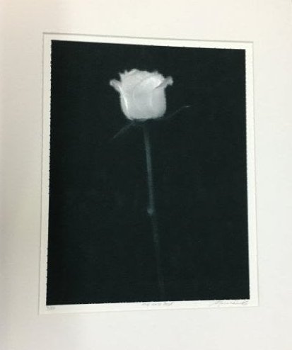Marc Duke, ONE WHITE ROSE PHOTOGRAPH Print (1 of 5)