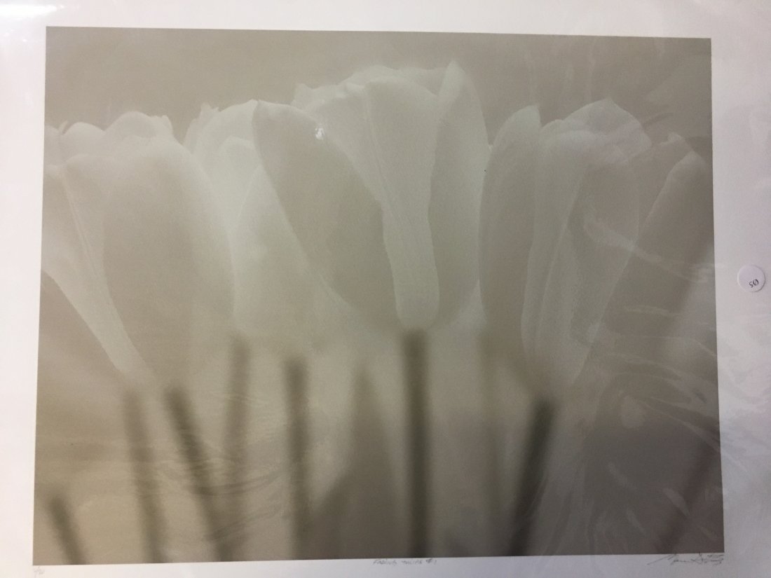 A large Marc Duke, Fading Tulips PHOTOGRAPH print (1 of 6)
