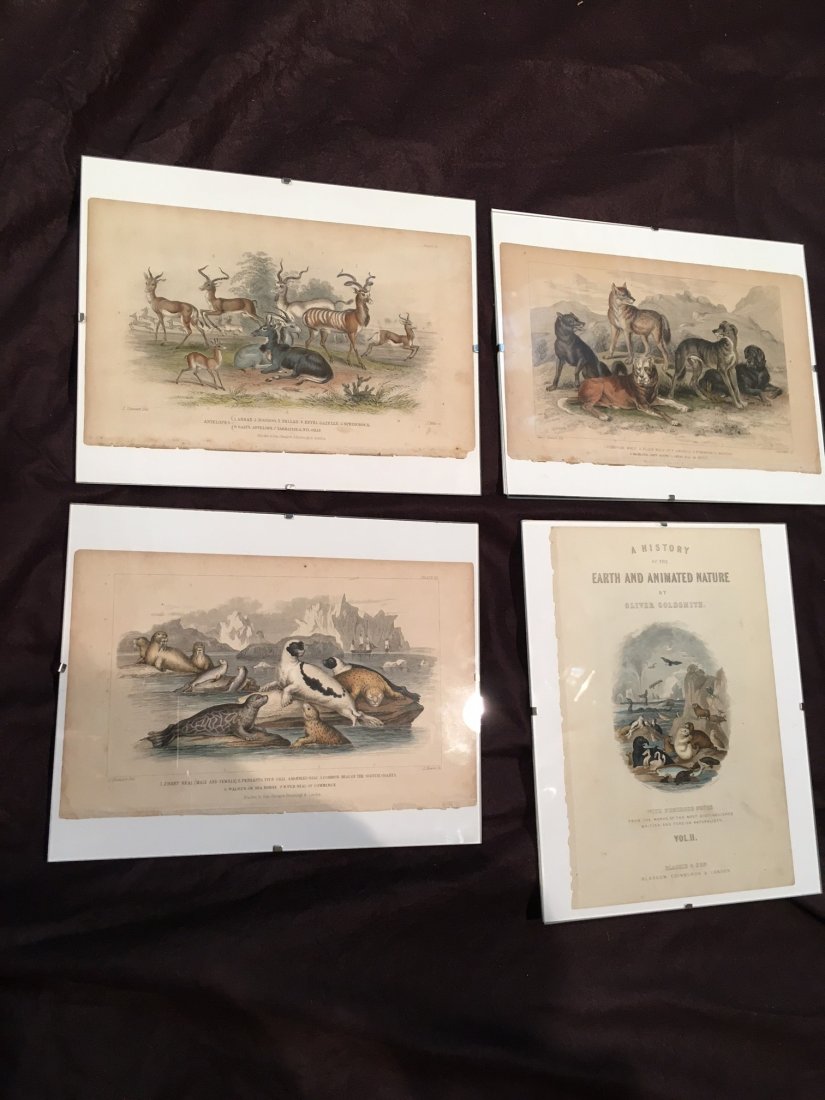 4 Plates from Oliver Goldsmith (1 of 9)