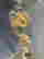 item-111436786=8