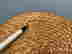 item-111964813=9
